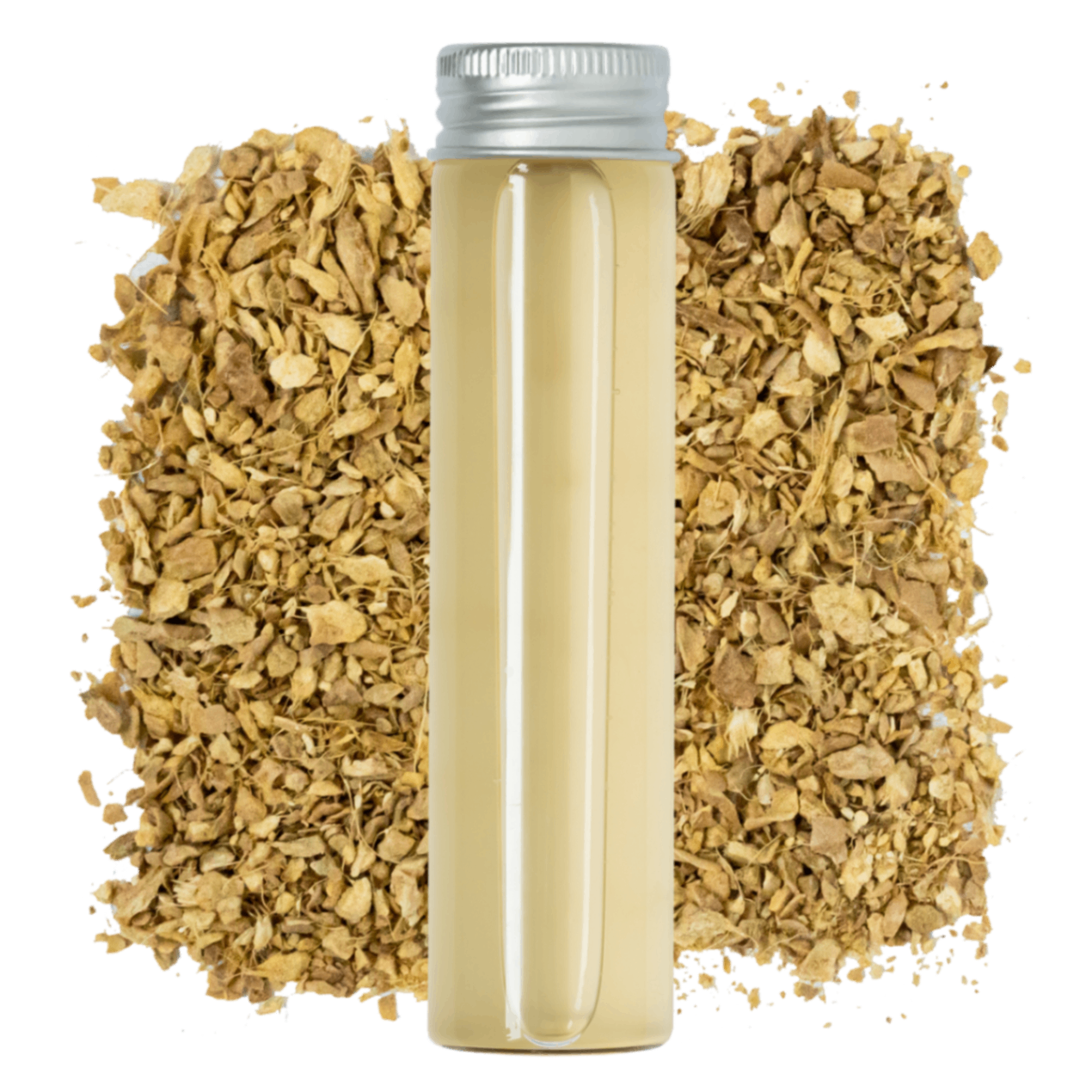 Fermented Ginger