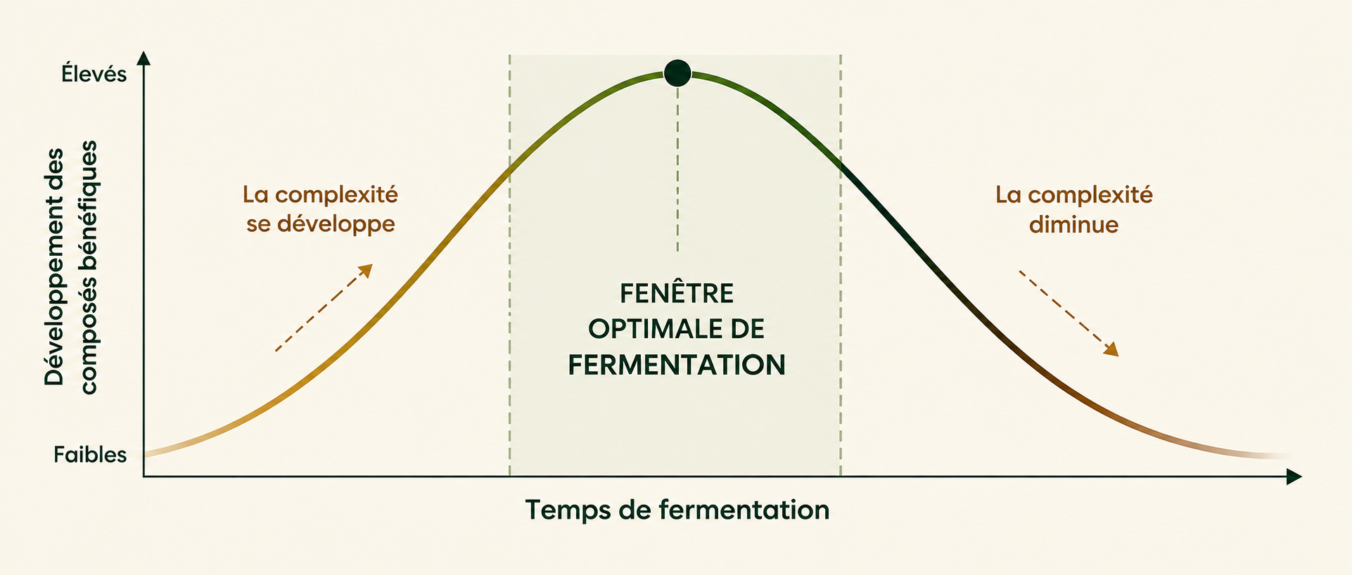 Fermentation complexity curve showing the optimal fermentation window